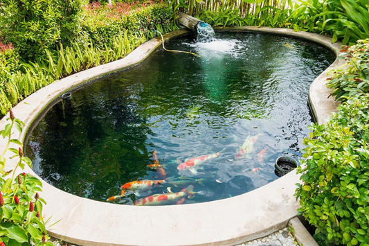 Why fish cant live in swimming pools 