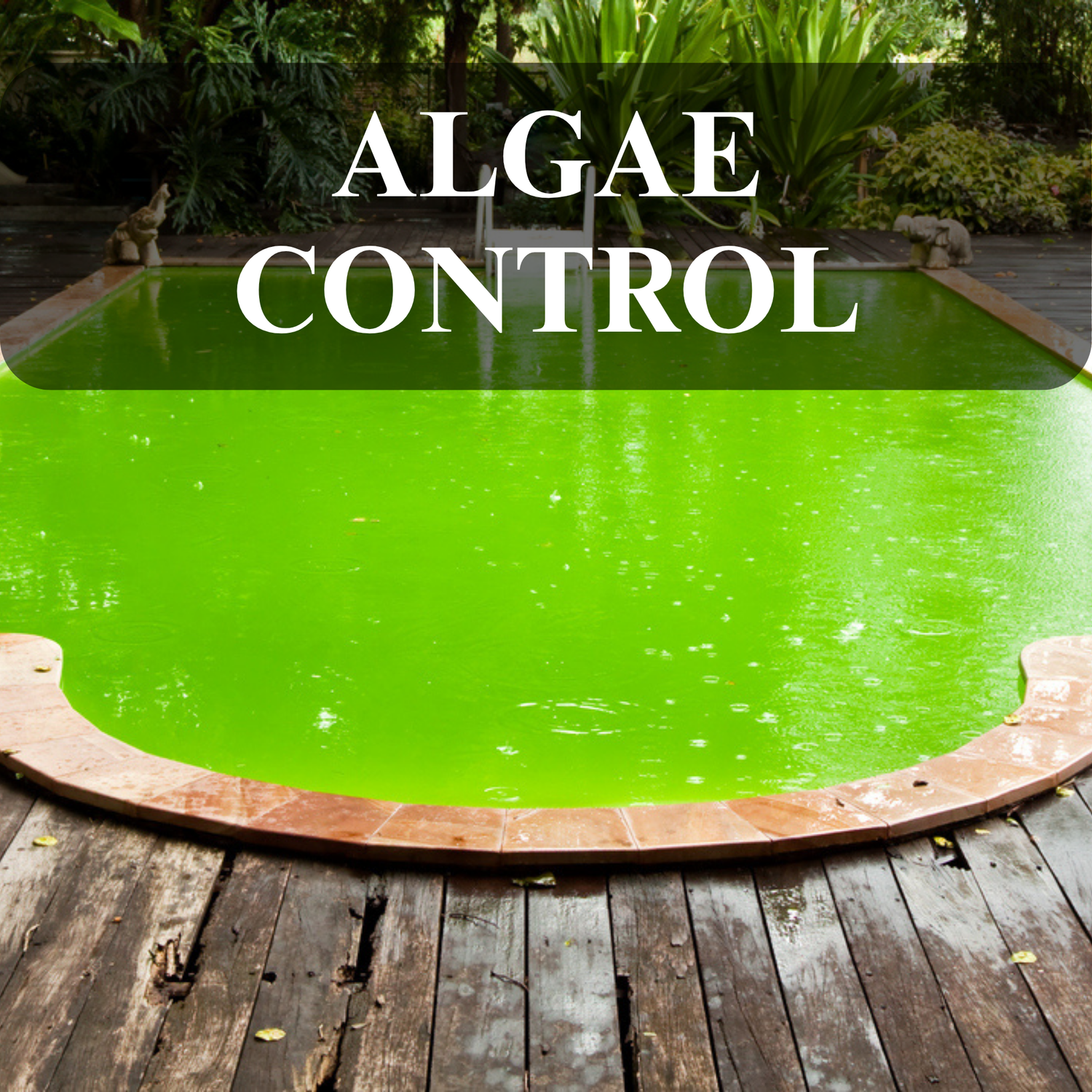 ALGAE CONTROL